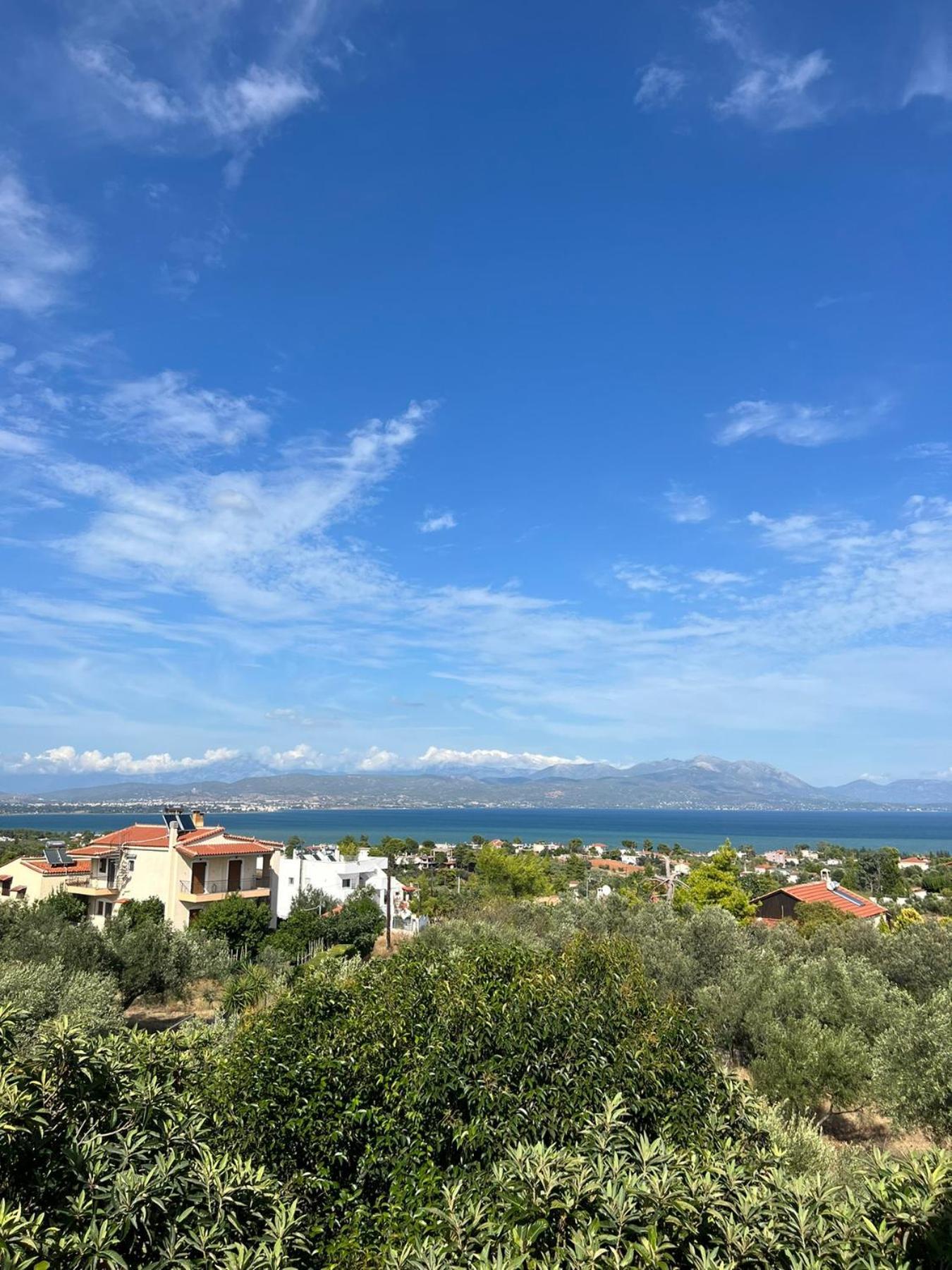 Xenia'S Seaview House Villa Paralia Avlidhos Exterior photo